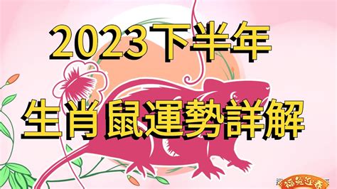 生肖鼠|鼠生肖：性格、愛情、健康、事業和星座